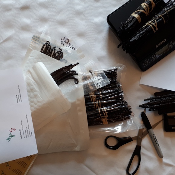 100g Splitted vanilla pods for homemade extract! - Picture 4 of 8